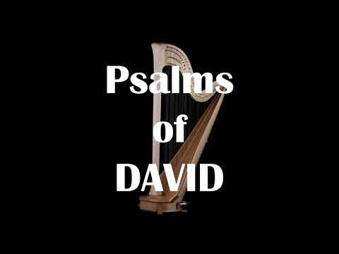 Psalm 146 - Psalms of David