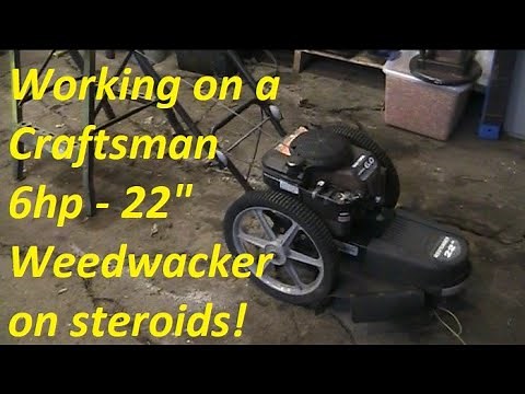 Craftsman 6hp 22" string trimmer. Will it run?