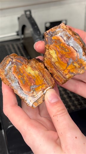 Hi-Tech Diamond on Instagram: "Cutting open a Cold Mountain Thunderegg using the Hi-Tech Diamond 10” Slab Saw. For purchasing options and more information on our saws check out the link in our bio! #hitechdiamond #cabbing #cabochon #cabochonmaker #lapidary lapidaryartist lapidaryart stonecutter jewelrydesigner jewlerymaker jewelrymaking handmadejewelry diyjewlery rockhound"