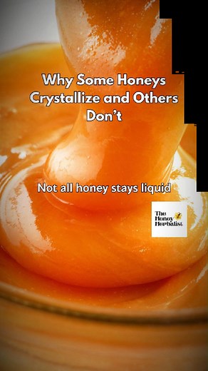 Raw honey changes over time. Crystallization doesn’t mean honey has gone bad. It’s a sign that the honey is pure and unprocessed. The speed at which honey crystallizes depends on the nectar source, temperature, and storage. Every jar has its own natural rhythm. Visit BestHoneyAndHerbs.com. #BestHoneyAndHerbs #TheHoneyHerbalist #rawhoney #honeyeducation #naturalfoods #slowliving #wholefoods #learnsomethingnew #foodasstory | The Honey Herbalist