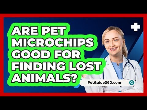 Are Pet Microchips Good For Finding Lost Animals?