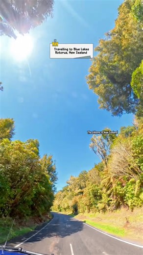 Let’s go to Blue Lakes of Rotorua, approx 15 min from the town centre! You go through lush forest and you come out to the magnificent view of Lake Tikitapu, a popular lake perfect for water sports like kayaking, paddle boarding and swimming. Also a walk around the lakes up Green Lakes and not far is Lake Okareka, lots of options. Rotorua has so much to offer especially it’s unique geothermal places! #Rotorua #bluelakes #newzealand #travel #nature #fblifestyle | The Gibsons of New Zealand