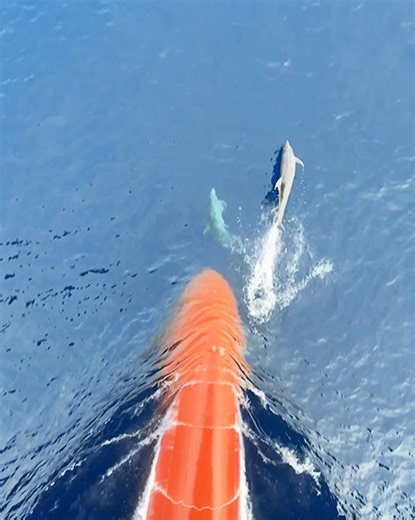 268K views · 2.5K reactions | The synchronized swimming is stunning    | UNILAD | Facebook