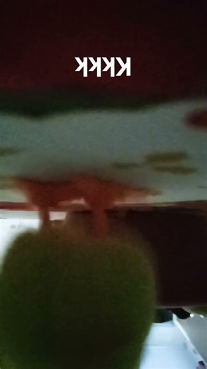 olha o pingo #minecraft