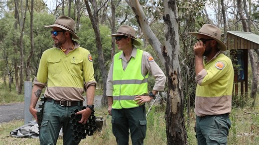 NSW National Parks and Wildlife Service is currently completing essential upgrades to the campground and replacing the walking bridge at Dangars Falls just outside of Armidale. That means the area is currently closed. But don't despair, there are many wonderful locations across the region to visit and camp this holiday season. Peter shares an update on the project and some great alternative locations to visit. Visit Armidale New England High Country NSW National Parks and Wildlife Service | Armi