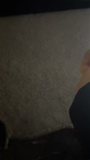 Baby Playing in the Snow