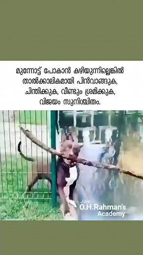 ആദ്യ ചുവടു പിഴച്ചാൽ? Malayalam motivation shorts motivation shorts for success motivation inspiration video Malayalam inspirational WhatsApp status Malayalam inspirational Malayalam inspirational quotes Malayalam inspirational short stories Malayalam motivation video | O.H. Rahman