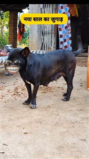 नया साल का जुगाड #comedy #funny #thetharpuns #shilpisaroja