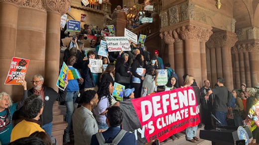 Developers win court challenge to NY wetlands protection laws