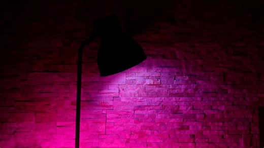 DIY Fun Projects for a Creative Day