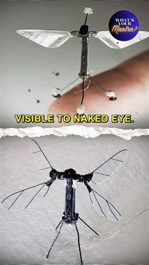 Israel has a deadly secret weapon | India’s Biggest Cybercrime Explained | IPS Yashasvi Yadav