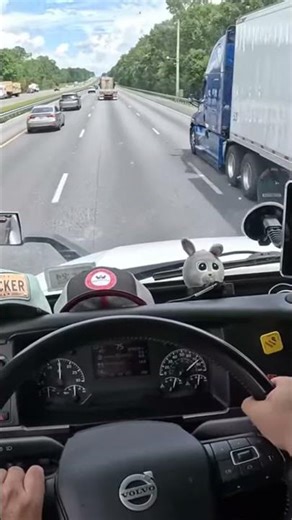 POV Trucking Florida | Overtaking Walmart Trailer on Highway #shorts