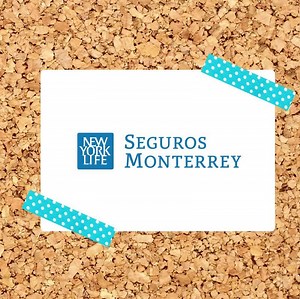 11K views · 256 reactions | #VidaMujer es el seguro de vida que disfrutas en corto plazo. A partir del 5to año con tu póliza, comenzarás a recibir el 5% del total de tu suma asegurada cada 2 años hasta llegar al año 20. ¡Nada cómo ver los frutos de tus ahorros y además estar protegida! | Seguros Monterrey New York Life | Facebook