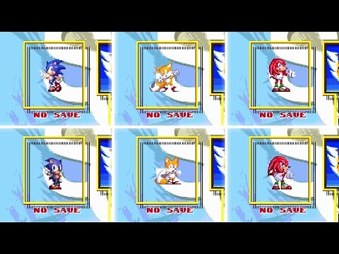Extra Character Slots in Sonic 3 AIR