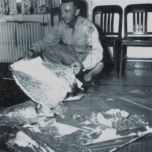 The Plot They Hid for Decades 🥉 | The Why Files