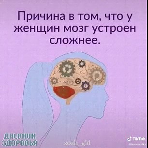 Exploring Daily Routines: Sleep, Think, and Multitask