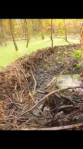 137K views · 1.5K reactions | Excavator Takes Down Beaver Dam | Beaver Dam Removal | Facebook