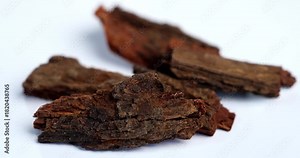 Babul Chaal - Acacia Bark, also known as Vachellia,Nilotica bark,Kikar Ki Chaal, Gum Arabic Tree Bark