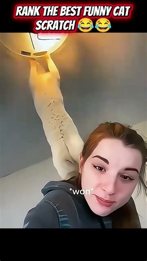 Best funny cat scratch 😂