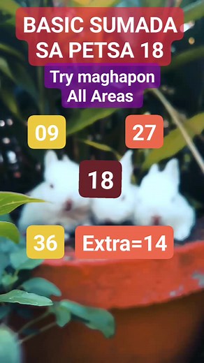 Basic sumada sa petsa 18,subukan maghapon sa may gusto, gud luck everyone 🙏🙏🥰 #PleasefollowlikeandShare #AnjoNac #stltips #stlallnation #2dez2 | AnjO-Nac