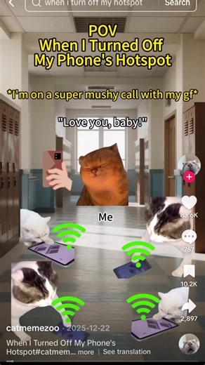 Yapapa #yapapa #cat #viral #fyp #funny | cat