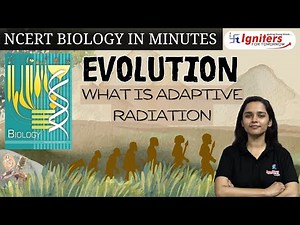 What is adaptive radiation? | Evolution | NCERT Biology in Minutes |Class12 & NEET