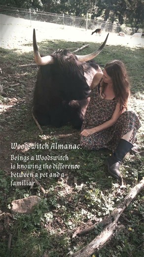 Woodswitch Almanac: A Witch's #witch #woodswitch Familiar