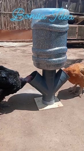 885K views · 10K reactions | Comedero automático  Link del tutorial en el primer comentario ‍♂️‍♂️ | Bonita Idea | Facebook