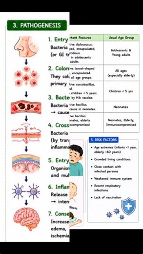 🚨 Bacterial Meningitis Complete Notes | Pathogenesis, Lab Diagnosis | MLT Must Watch!