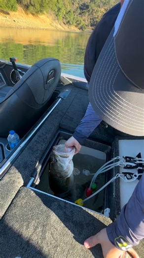 Fall bucket mouth fishing was 🔥 @thomaskanemoto #bassfishing #californiabassfishing | P-Line