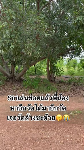 Exploring the Serene Beauty of Rural Thailand