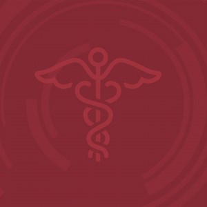 35 reactions · 13 shares | RNs - earn your BSN from St. Thomas University. Our 100% online program was designed for working RNs. Become a leader for life. | St. Thomas University Online | Facebook