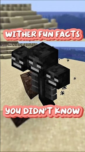 Minecraft Wither Fun Facts You DIDN’T Know! 😱 #minecraft