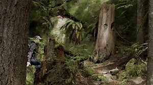 273K views · 283 reactions | Trail etiquette is universal, and these are some simple (but important) guidelines to follow. | Outside Magazine | Facebook