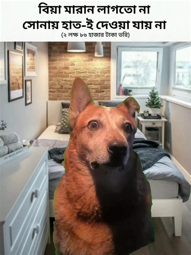 সোনায় হাত দেওয়া যাবে না!