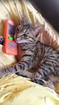 #hello kon kon. are hum bole