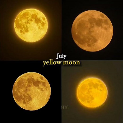 moons ✨#lifeisbutadream #angel #aesthetic #ihavethisthingwithplants #shortsfeed #youtube #travel