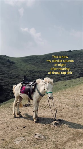 This Is How My Playlist Sounds at Night After Listening to Rap