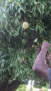 18K views · 136 reactions | Zvemu Zimbabwe | Zimbabwe Young Influencers | Facebook