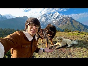 My 2 New Friends 😍 At Himalayas