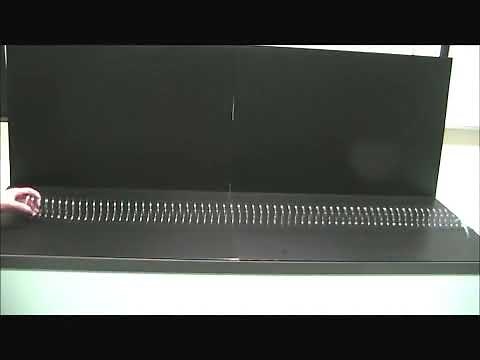 Longitudinal Waves on a Slinky