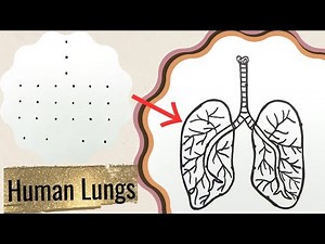 Lungs Drawing With Dots | How To Draw Human Lungs Step By Step | How to draw respiratory system