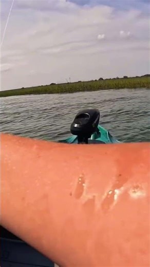 FLOUNDER!#catchandrelease #fishing #fishingmethods #fishingtechniques #kayakfishing #marsh #flounder