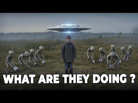 The Boy Who Met Five Aliens in a Field