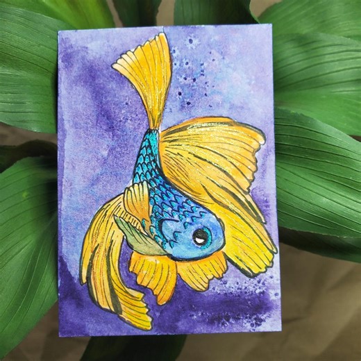 ACEO Original Watercolor Painting, Betta Fish (2.5x3.5in) - Etsy