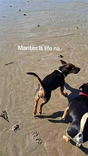 Nag eenjoy sa beach ang dalawa. #marites #beaches