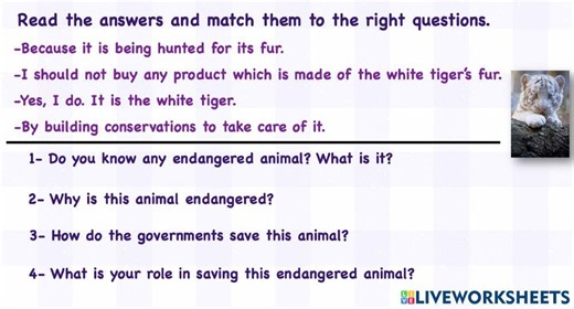 Unit 6 video activity interactive worksheet