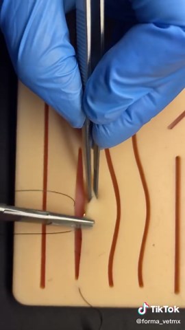 Técnica de Sutura Intradérmica en Veterinaria