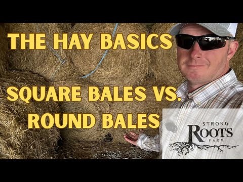 Feeding Hay 101, The Basics To Start