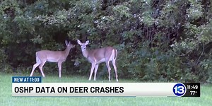 OSHP tracking over 150,000 deer-related crashes over the past 5 years
